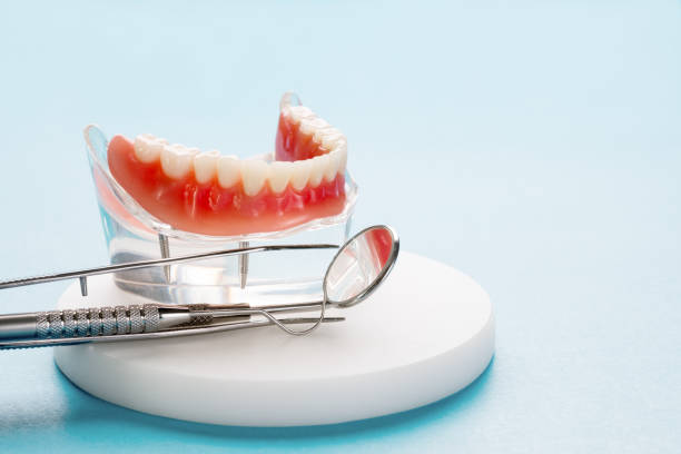 Professional  Holistic Dental Services in Heathrow, FL